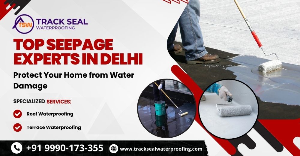 Top Seepage Experts in Delhi: Protect Your Home from Water Damage